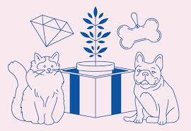 5608 burnet road austin, tx 78756 phone: 9 Creative Things To Do With Pet Cremation Ashes 2020 Eterneva
