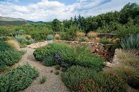 Welcome friends to my high desert gardening channel. New Mexico Water Wise Garden Gallery Garden Design