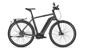6 E Bikes With Gates Carbon Drive With Images Electric Bicycle Bicycle Ebike
