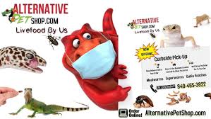 Exotic pets mania is the best small animal online store in kanpur. Alternativepetshop Com 2021