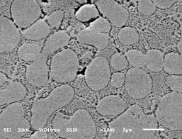 Image result for alloy edx micrograph