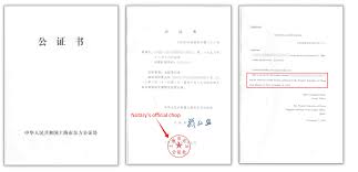 Consular staff is not permitted to explain contents to you. What A China Police Certificate Looks Like Zhaozhao