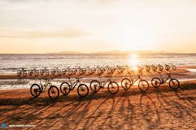 Using pivot interactives instead of word. The Best Mountain Bike Of 2021 22 Mtbs For Trails Tours And Adventures