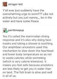 I Just Wanna Drive To The Beach And Float In The Water For A While Ya Know Fun Facts Writing Prompts Tumblr Funny