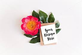 Greeting Card Mockup Flowers Greetings Styled Stock Photography Greeting Cards