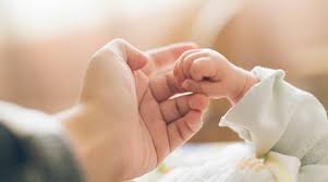 Each limb is gently unwrapped and washed,. Tips To Care For A Preterm Baby At Home Lifestyle News The Indian Express