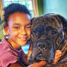 ᕼOᒪᒪY ᗩᑎᗪ ᗷᖇOᗪY