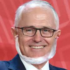 Amish Memes for Unshaven Teens - Home | Facebook