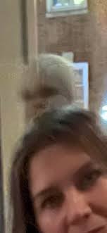 What are the thoughts