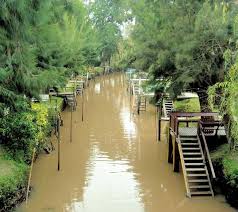 Delta Del Tigre Buenos Aires Argentina South America Travel Delta Tigre Places To Travel