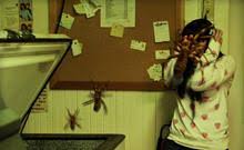 A camel spider can run at 30 mph and they have a terrifying scream while they run! Camel Spiders Blu Ray Review High Def Digest