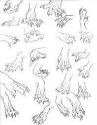 All animal species observed or otherwise detected 120 Draw Animal Feet Paws Claws Hoofs Ideas Animal Drawings Paws And Claws Drawings