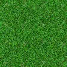 How doers get more done. Realistic Seamless Green Lawn Grass Carpet Texture Fresh Nature Royalty Free Cliparts Vectors And Stock Illustration Image 142998396