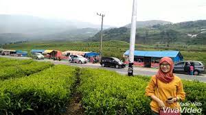 Maybe you would like to learn more about one of these? Kebun Teh Solok Sumatera Barat Tempat Yang Indah Untuk Wisata Youtube