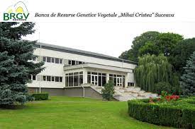 Singura bancă de seminţe din românia poate fi considerată o adevărată „arcă a lui noe pentru agricultura românească. Banca De Resurse Genetice Vegetale Mihai Cristea Suceava