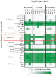 Chapter 45 2 hours ago. Responses Of The Human Gut Escherichia Coli Population To Pathogen And Antibiotic Disturbances Msystems