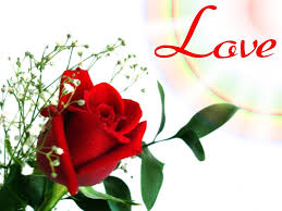 Maybe you would like to learn more about one of these? 75 Love Flower Wallpaper On Wallpapersafari