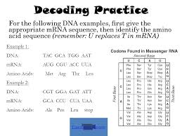 Protein Synthesis Or How Our Bodies Make Proteins Ppt