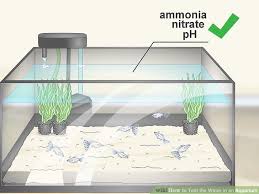 How To Test The Water In An Aquarium 13 Steps With Pictures