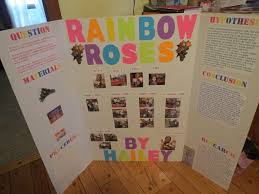 We did not find results for: Hailey S Rainbow Rose Project 2013 We Took White Roses Split The Stems In 2 3 4 Placed Them In Different C Science Fair Science Fair Projects Fair Projects