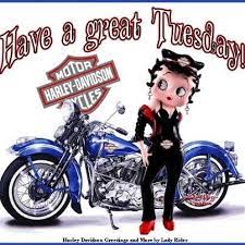 Pin On Harley Days