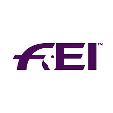 FEI - YouTube