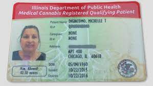 Authorized medical cannabis pilot program; Santa S Helper Finally Gets The Medical Marijuana She Desperately Needs Bleader