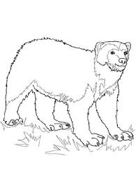 The wolverine coloring pictures are here just for you. Pin On Movie Coloring Pages