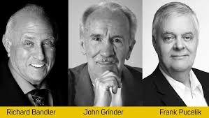 La Programmazione Neuro Linguistica (PNL) nell'evoluzione delle aziende