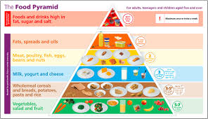 Image result for Nutrition Guidelines
