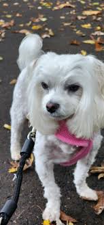 Good morning, just a little 🥒 advice