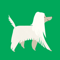 Download meme anime gif mobalucu via mobalucu.blogspot.com. Best Bum Wiggle Gifs Primo Gif Latest Animated Gifs