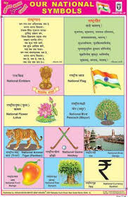National Symbols Of India Chart For Kids Education Learning Chart Vinyl Paper Fashion Home Garde National Symbols Charts For Kids General Knowledge For Kids