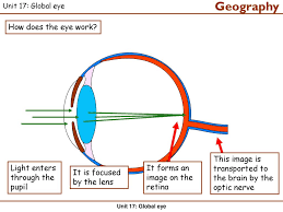 Children will discover what all the parts of the eye do: Geography At Key Stage 2 Unit 17 Global Eye Ppt Download