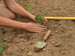 If water drains from the hole in 10 minutes or less, you have fast drainage. How To Improve Soil Quality In Your Garden Craftsy