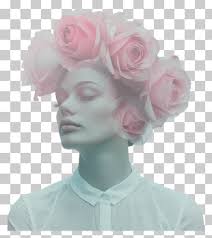 Rose Nosegay Photography Flower PNG