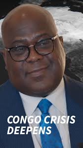 Jason Bellini (@jasonbellini) • Instagram photos and videos