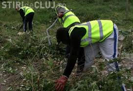 Era utilizata şi munca neremunerată în folosul comunităţii, ea avind forma de ocne, galere. Pedepsele Cu Munca In Folosul ComunitÄƒÈ›ii Nu Se Pun In Aplicare Se SchimbÄƒ Legea Stiri De Cluj