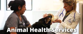 Her pets include many dogs, cats. Veterinary Services Santa Fe Animal Shelter Humane Society