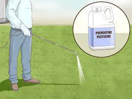 How To Get Rid Of Grubs Slugs In Garden Japanese Beetles How To Get Rid