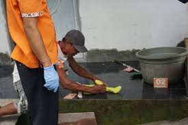 Pohon beringin merupakan salah satu tanaman yang disukai burung. Pembuangan Bayi Gemparkan Mojokerto Kapolsek Diduga Hasil Hubungan Gelap
