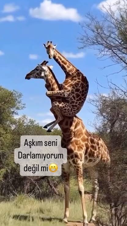 Sevgilinizin i�i varken onu a�k�n�zla darlamay� sever misiniz?