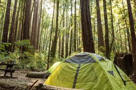 It's a little bit of heaven. The Best Santa Cruz Camping From The Beach To The Forests