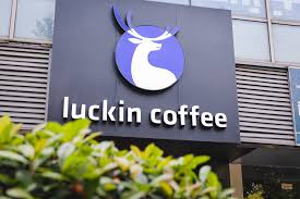 The income statement summarizes the revenues, expenses and profit generated by a business over an annual or quarterly period. Luckin Coffee Execs Fired After Fraud Probe Pymnts Com