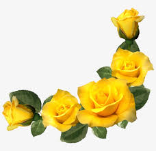 New moon in midheaven, in libra… save your flowers by dorothea lasky save your congratulations and your flowers… constellation by andrés montoya there are the stars… wildfire moon (summer, l.a. Pdf Immersion And Distance Aesthetic Yellow Flower Frame Png Png Image Transparent Png Free Download On Seekpng