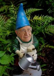 Noam Chomsky Is One Of My Favorite Authors And I Make Sure To Read Any Article That He Publishes He Is A Former Profe Fairy Garden Houses Gnomes Gnome Garden