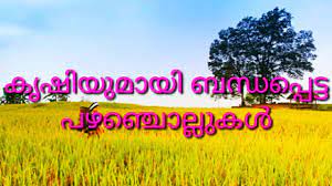 Download free malayalam pazhamchollukal 4.6 for your android phone or tablet, file size: à´• à´· à´¯ à´® à´¯ à´¬à´¨ à´§à´ª à´ª à´Ÿ à´Ÿ à´ªà´´à´ž à´š à´² à´² à´•àµ¾ Malayalam Pazhamchollukal Krishi Youtube