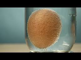 Experiences Visuelles A Faire A La Maison Science Amusante Experience Scientifique Enfant Science Enfant