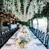 43 delicate spring garden wedding ideas. Https Encrypted Tbn0 Gstatic Com Images Q Tbn And9gcqtuk8ixksv6tmxwagpcdoyep1wbpwrz6zi53jxm5muqxw14 Ao Usqp Cau