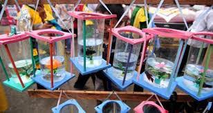 Tentu saja tema acara halal bihalal memang telah banyak dicari oleh orang di internet. 11 Botol Plastik Cara Membuat Aquarium Ikan Cupang Dari Barang Bekas Png